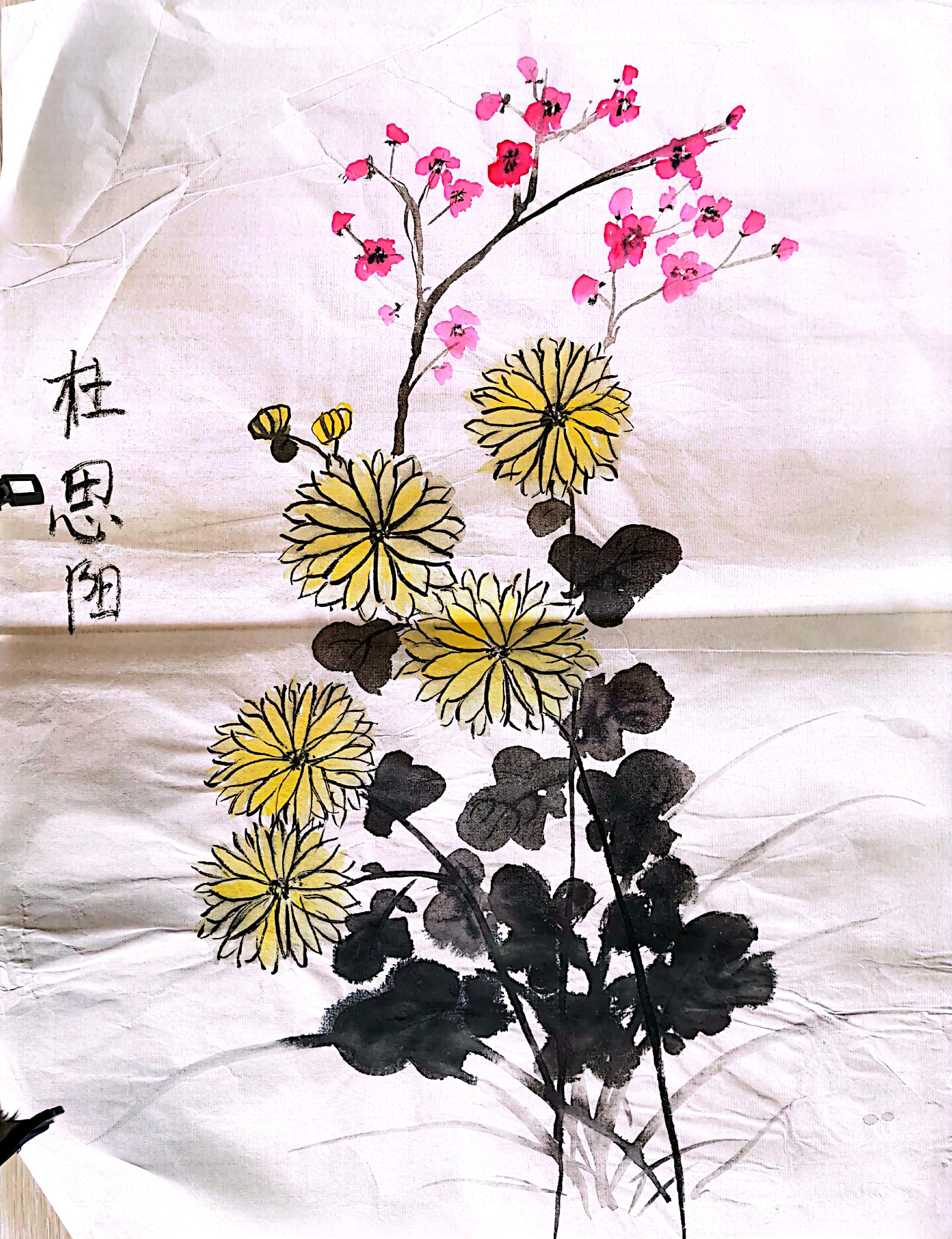杜思阳