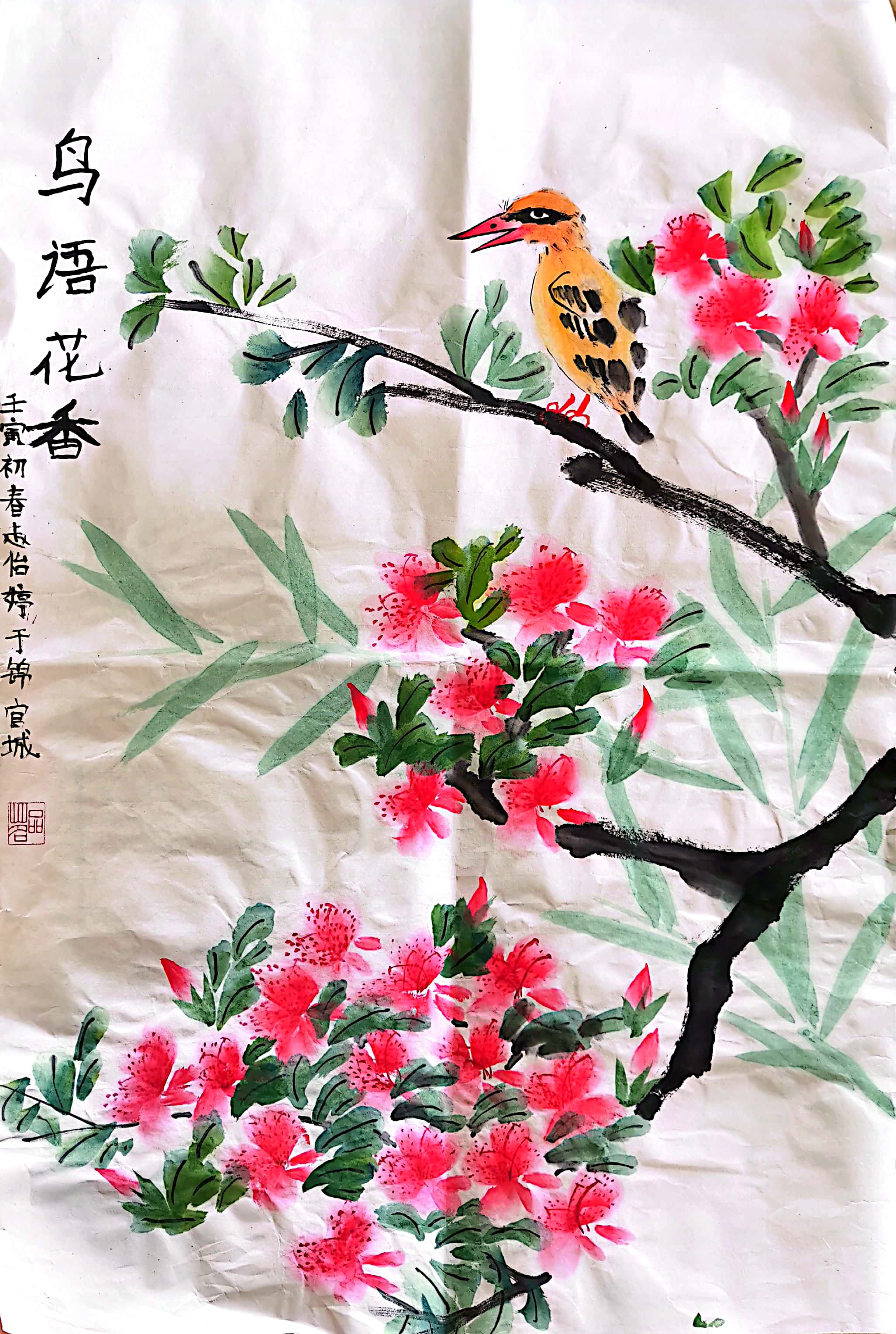 赵怡婷