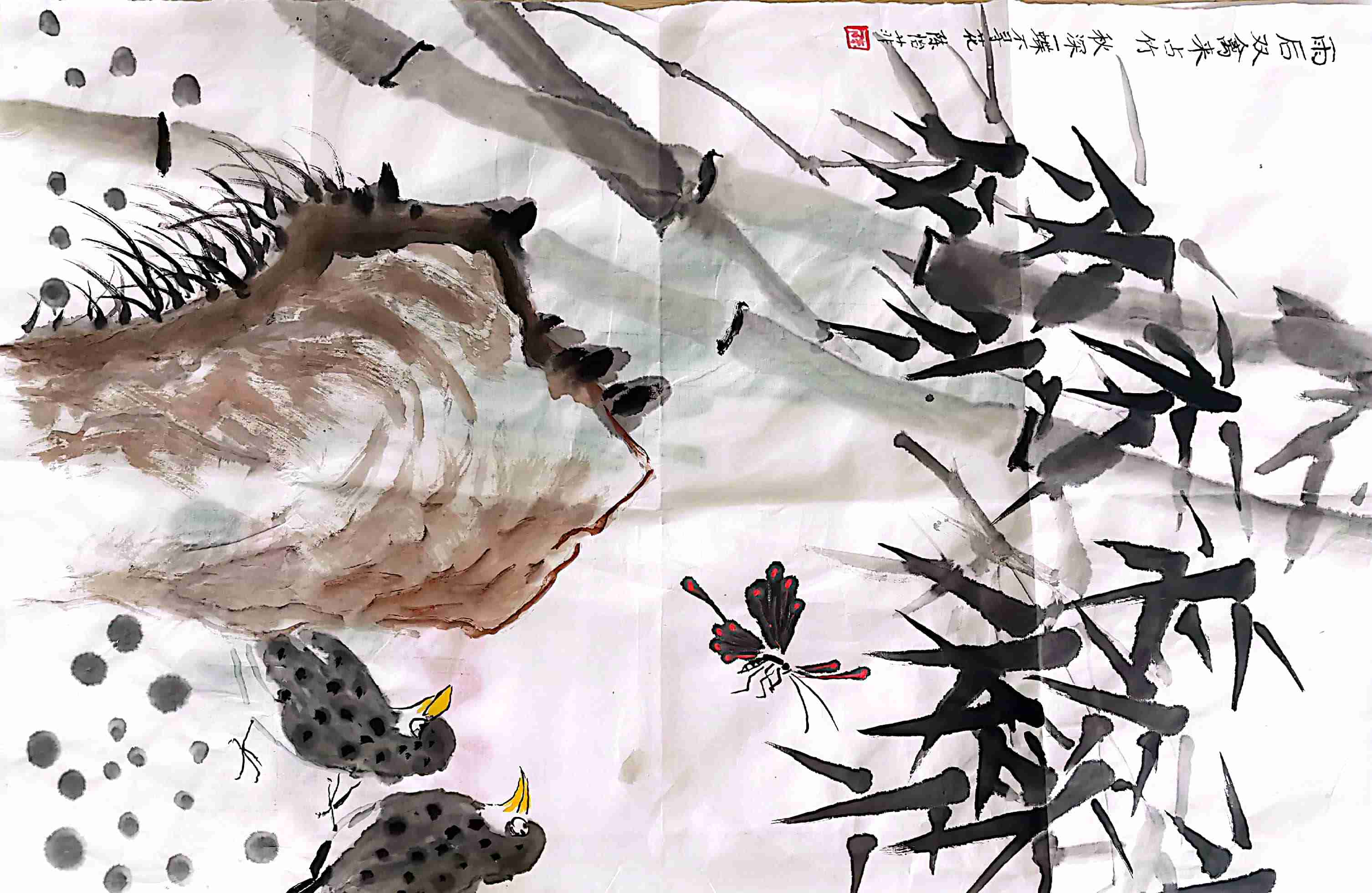 陈怡菲