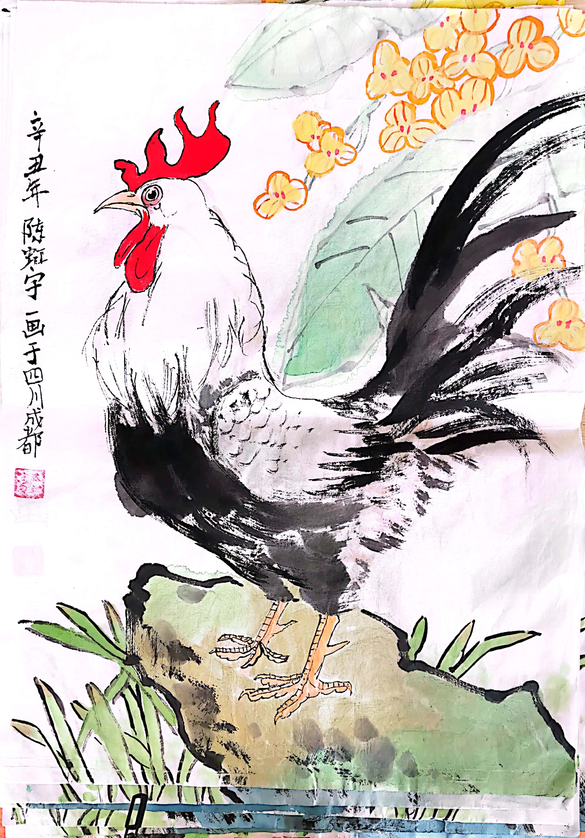 陈虹宇
