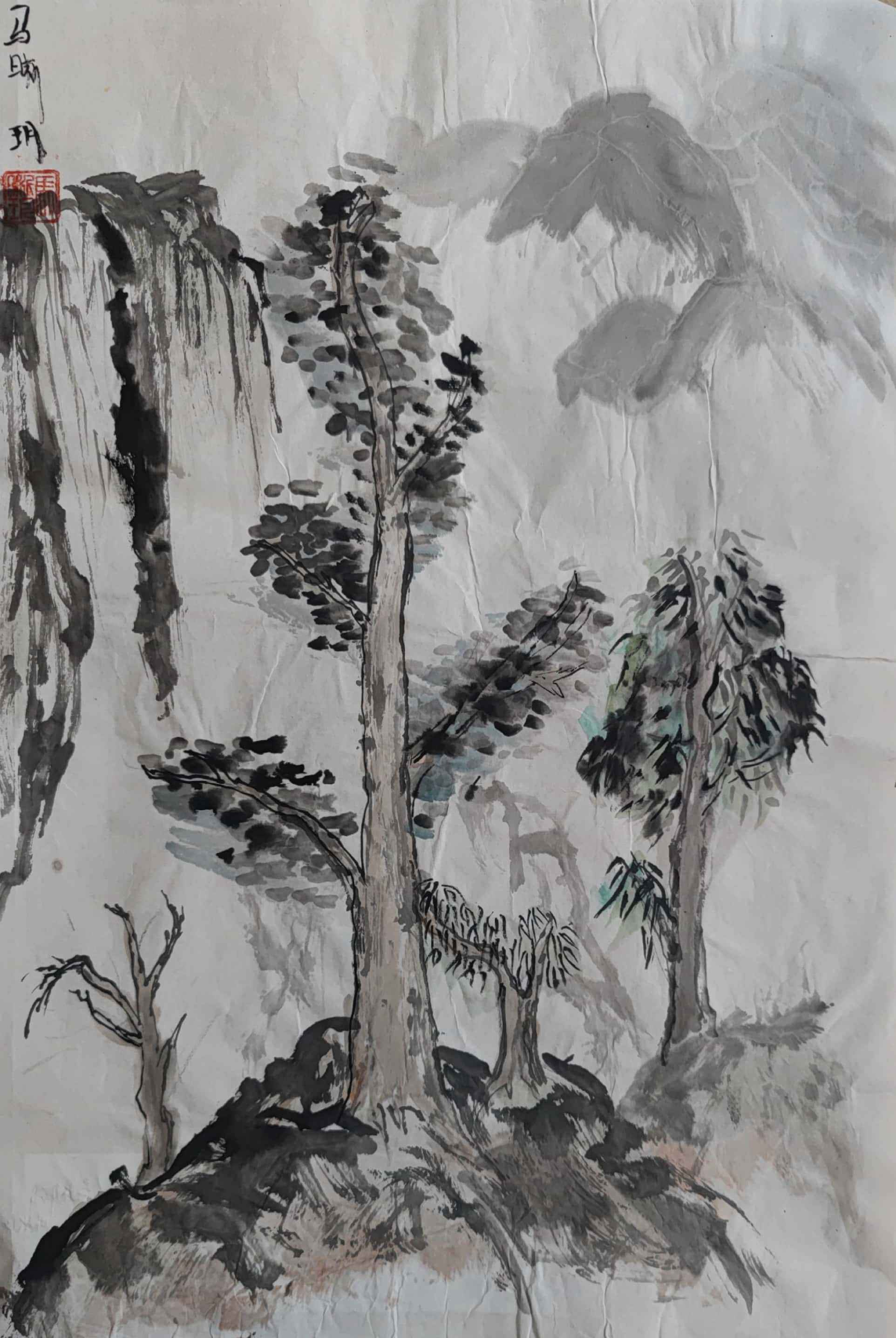 马晰玥