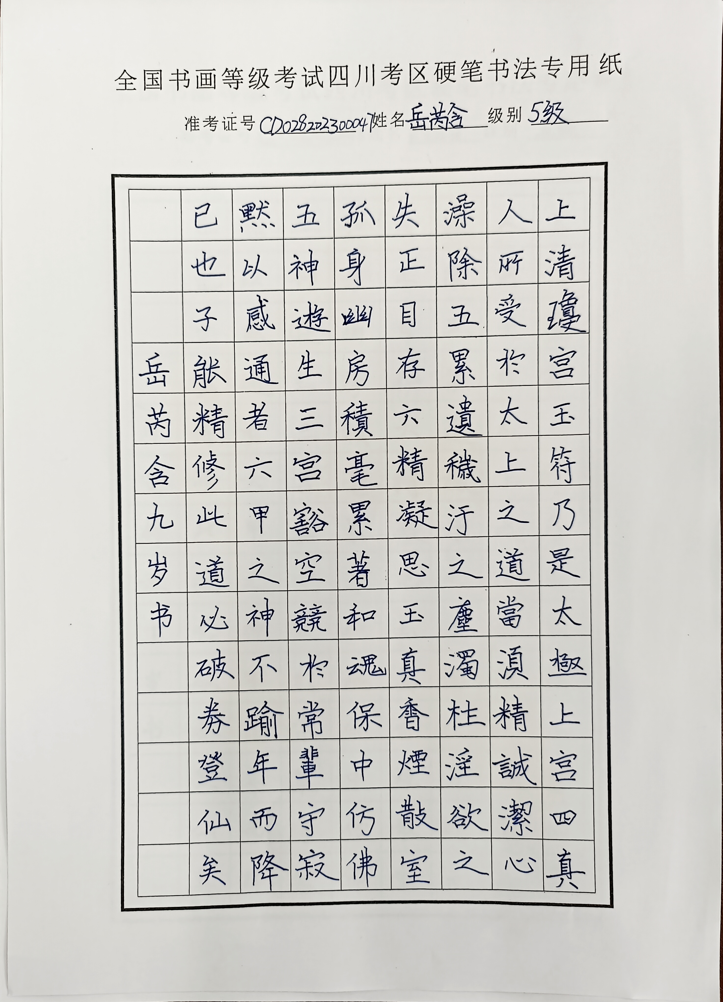 岳芮含