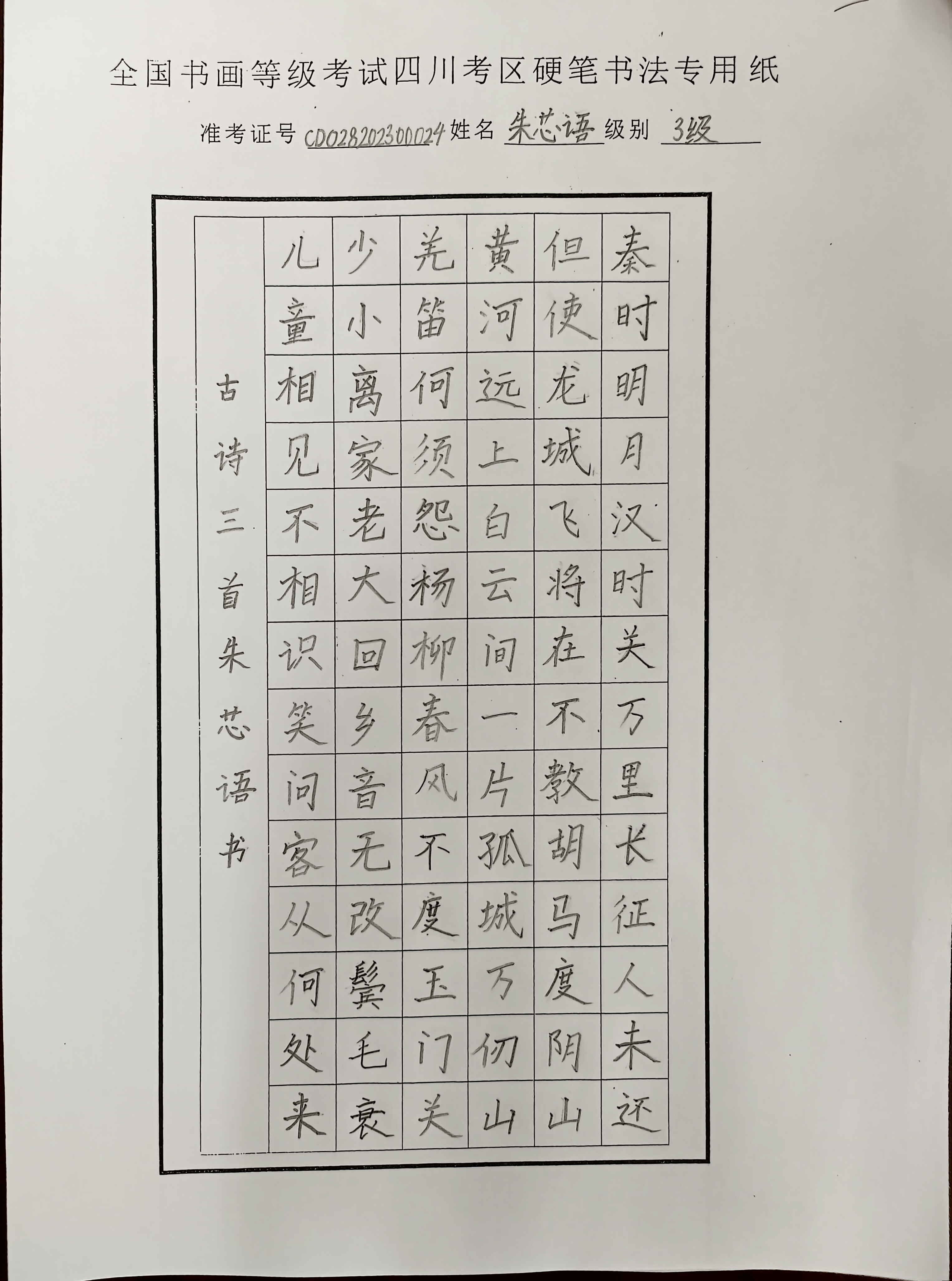 朱芯语