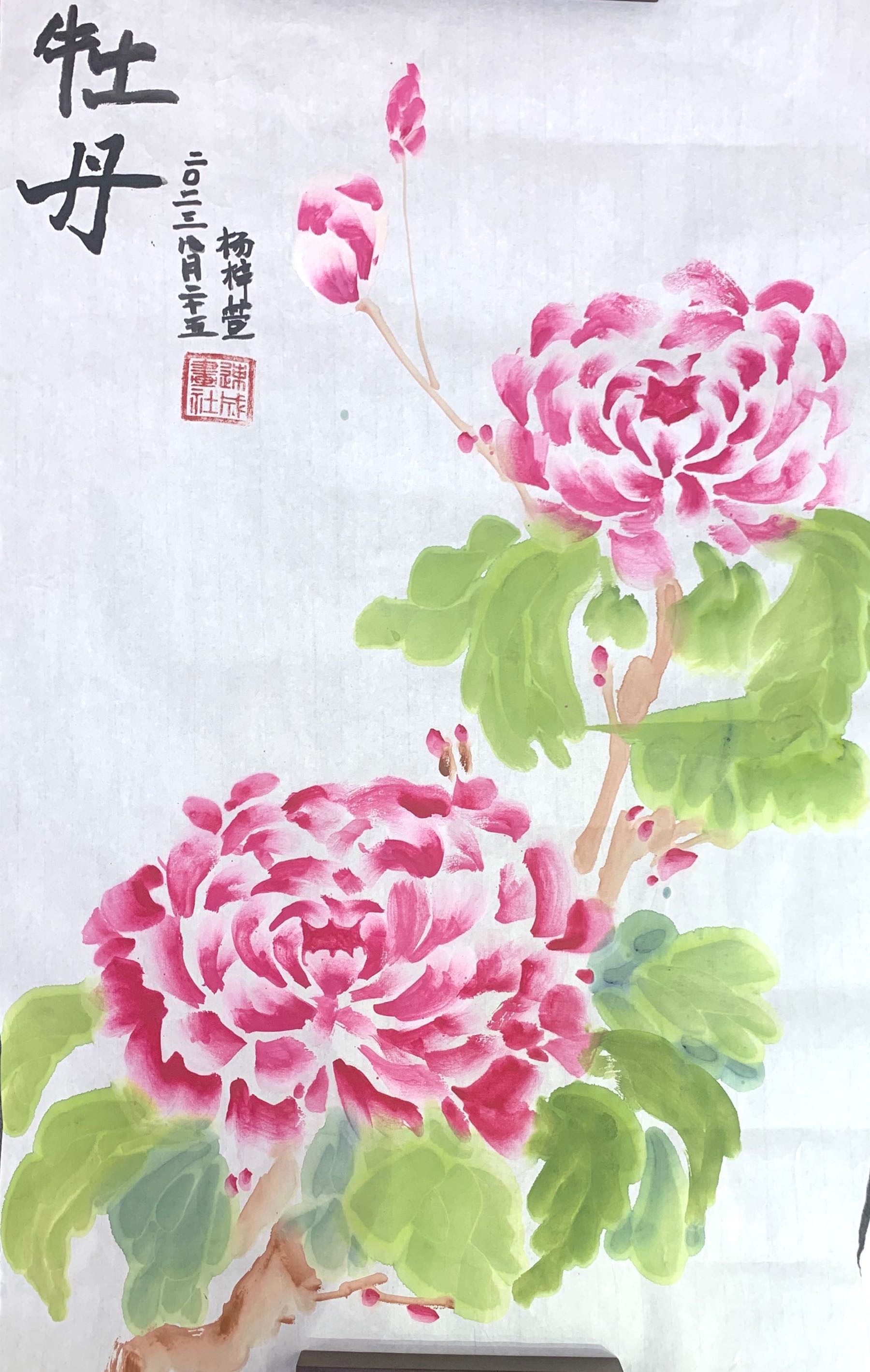杨梓萱