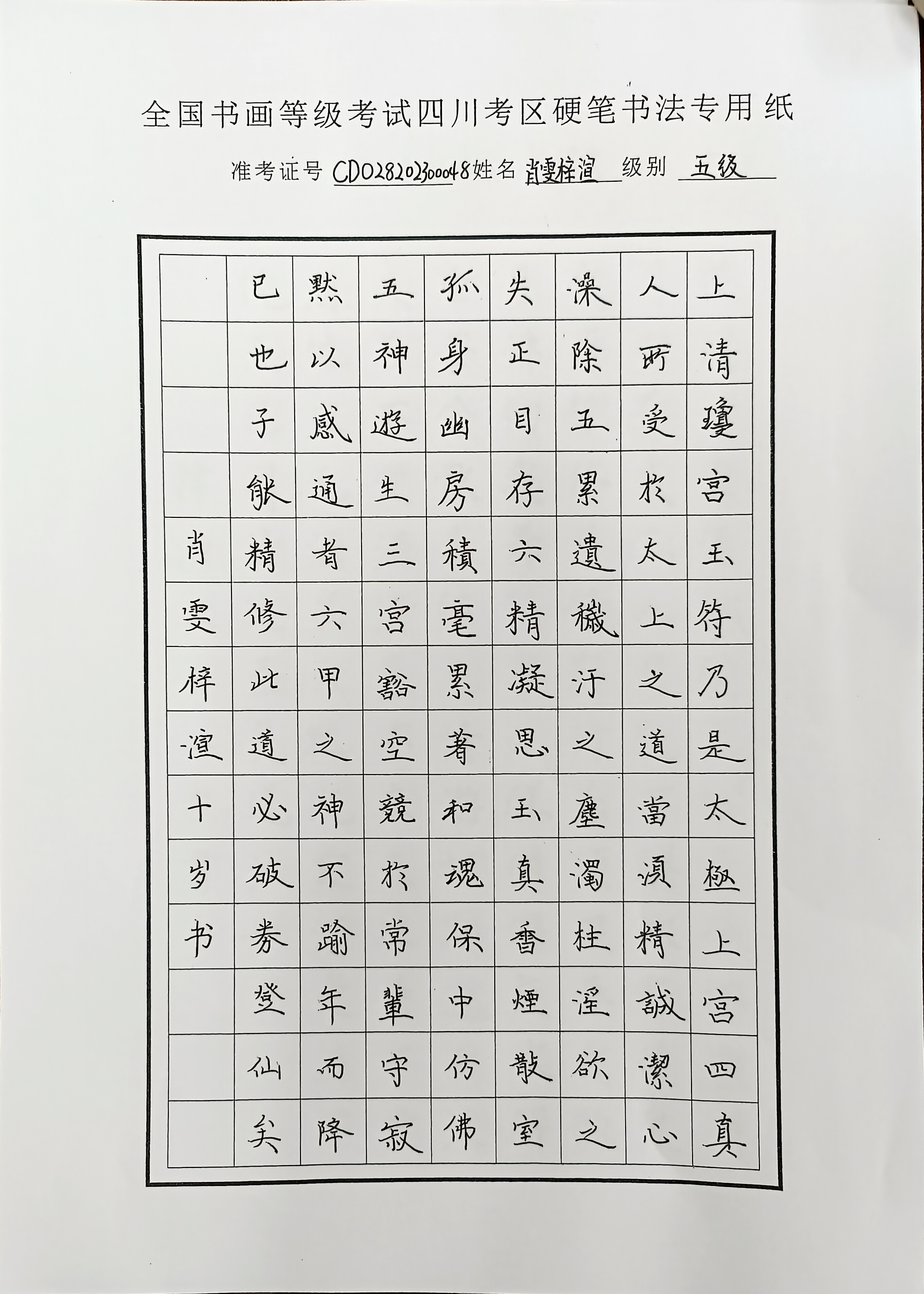 肖雯梓渲