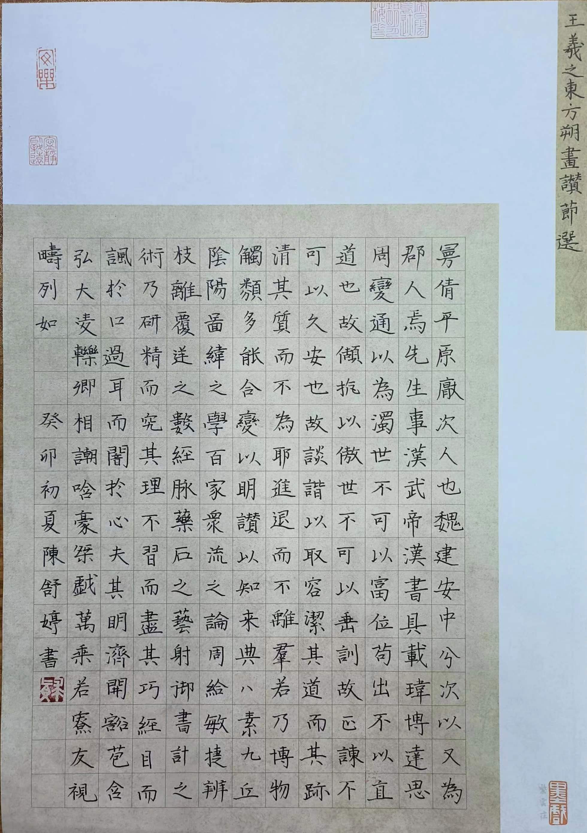陈舒婷