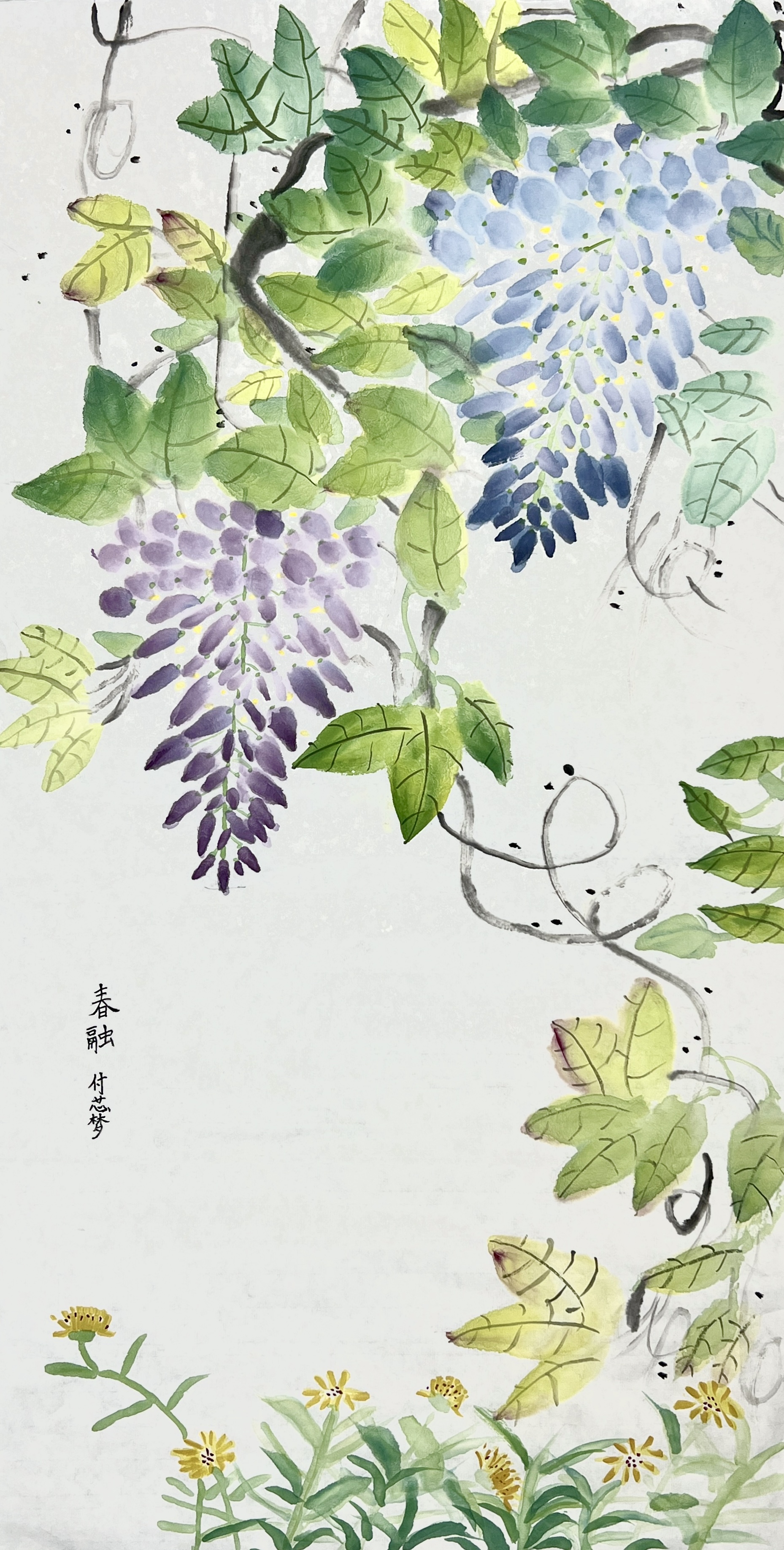 付芯梦