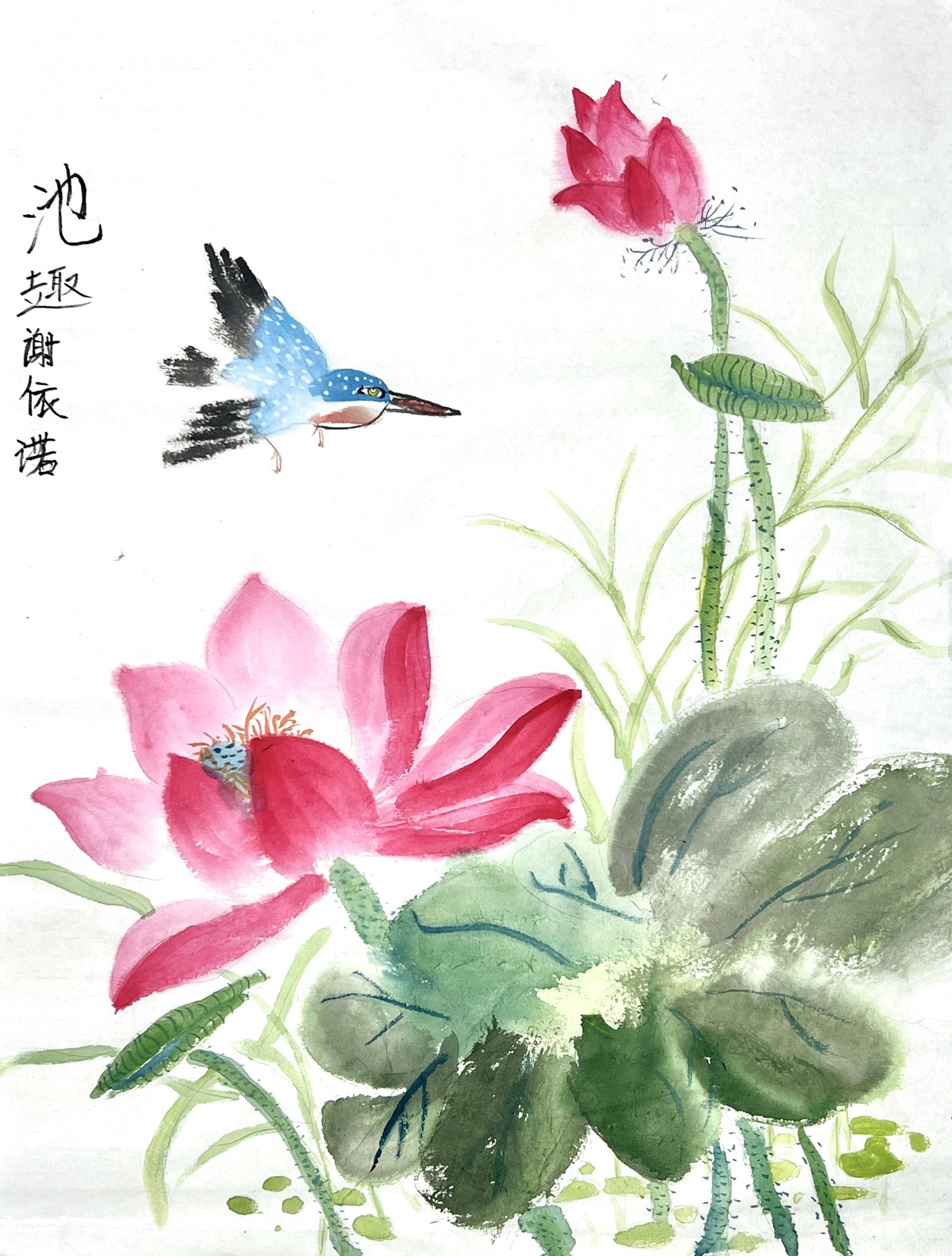 谢依诺